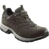 Meindl Rapide GTX Wanderschuhe (dunkelbraun)