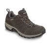 Meindl Rapide GTX Wanderschuhe (loden)